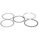 Parti del motore Wiseco Piston Ring Set 76.25mm | race-shop.it
