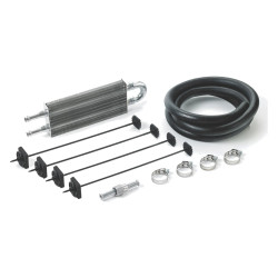DAVIES CRAIG kit radiatore olio servosterzo, 1009