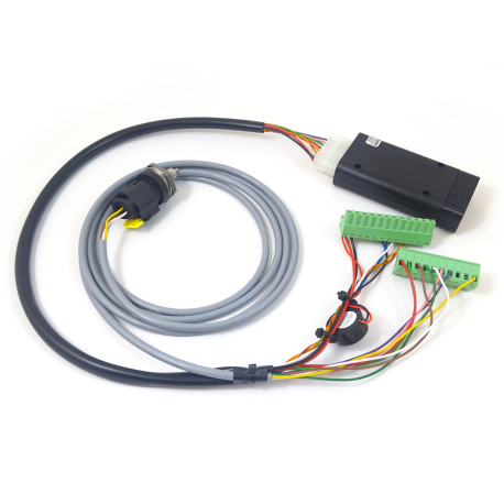 RWD POWER RWD POWER BMW E46 Adapter with Wiring and Oil Pressure Sensor for DASH5 / DASH7 | race-shop.it