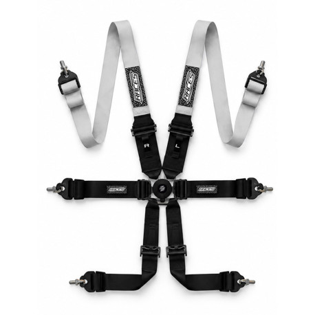 Cinture di sicurezza e accessori Cinture di sicurezza sportive a 6 punti omologate FIA RACES EVO per HANS 2"/3" (50/76mm), argento/nero | race-shop.it