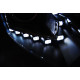 Fari TUNING-TEC fari anteriori (DRL) per FORD FOCUS MK3 11- 10.14 (H7/H1), nero | race-shop.it
