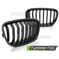 TUNING-TEC griglia per BMW F20 F21 11-12.14, nero lucido