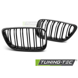 Grille sport for BMW F22 / F23 13-21 (Glossy Black Double Bar)