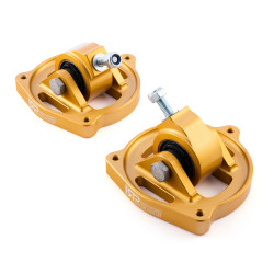 IRP Aluminium engine mounts for BMW F2X, F3X 6-cylinder (not M models)