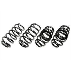 TA-TECHNIX molle rialzate per Ford Transit Custom V710 NR/NX 2023+, 30/30mm
