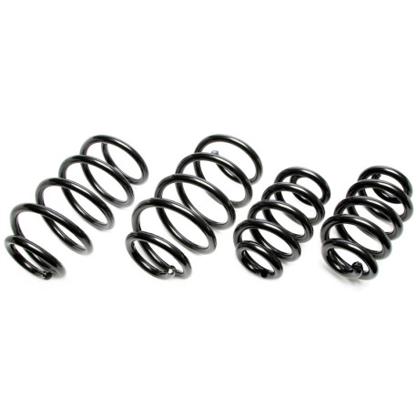 TA technix TA-TECHNIX molle rialzate per VW Transporter T5 Bus/furgone/Multivan 7H_/7E_ 2003-08.2015, 25/30mm | race-shop.it
