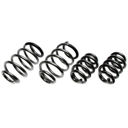 TA-TECHNIX molle rialzate per VW Transporter T6.1 Bus/furgone/Multivan 7H_/7E_ 2019-2024, 25/30mm
