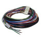 Standalone ecu, display and accessories Link cablaggio G1 2ML | race-shop.it