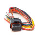 Standalone ecu, display and accessories Link cablaggio A corto (0LA) | race-shop.it