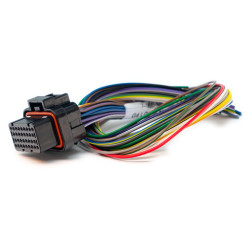 Link cablaggio B corto (0LB)