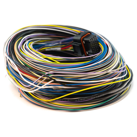 Standalone ecu, display and accessories Link cablaggio B lungo (5LB) | race-shop.it
