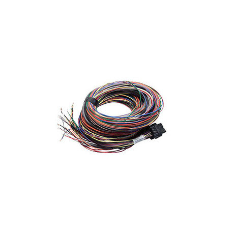 Standalone ecu, display and accessories Link vecchia G4 Atom & Lightning 5 m (5LT) | race-shop.it