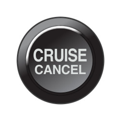 Link inserto per tastierino CAN - Cruise cancel