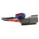 Standalone ecu, display and accessories Link cablaggio adattatore LS stepper | race-shop.it