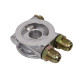 Adattatori filtro olio Adattatore filtro olio Ingresso/uscita con termostato AN10 | race-shop.it