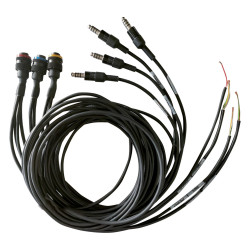 ZERONOISE cablaggio per amplificatore Fearless WRC CanBus