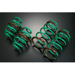TEIN S.TECH molle per NISSAN SKYLINE ER34 25GT