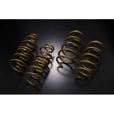 TEIN TEIN HIGH TECH molle per FORD FOCUS DA3 TITANIUM | race-shop.it