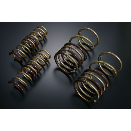 TEIN TEIN HIGH TECH molle per MITSUBISHI GALANT FORTIS SPORTBACK CX4A RALLIART | race-shop.it