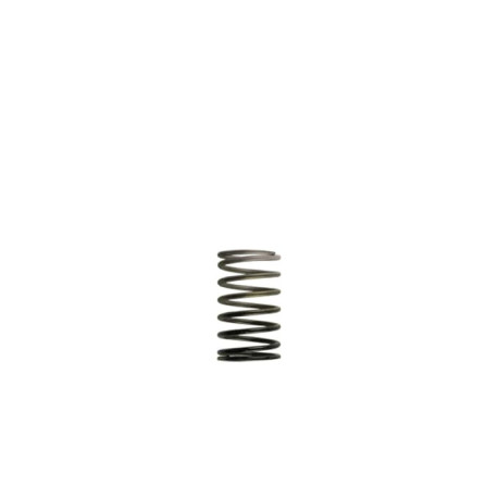 Accessories TURBOSMART WG50/60 molla interna per wastegate esterna, 3 psi | race-shop.it