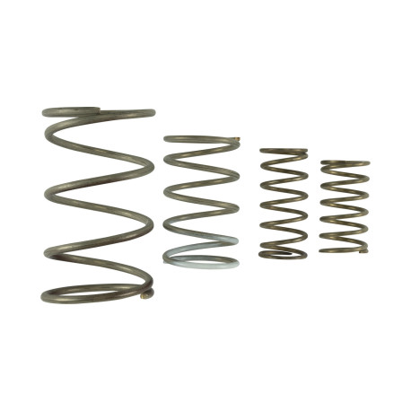 Accessories TURBOSMART GenV WG60 kit molle per wastegate esterna | race-shop.it