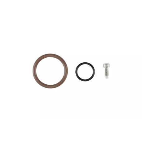 Accessories TURBOSMART O-ring per tappo olio (LS) | race-shop.it