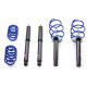 Sospensioni AP sportfahrwerke con riduzione fissa Kit sospensioni sportive AP per SKODA Fabia, 12/07-, 30/30mm | race-shop.it