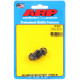 Bulloneria ARP Chevy 12pt kit bulloni staffa bobina | race-shop.it