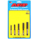 Bulloneria ARP ARP maschio pulisci filetti, V1 | race-shop.it