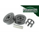 2WD Powerflex Rear Lower Engine Mount Bush Volkswagen Golf MK2 2WD (1985 - 1992) | race-shop.it
