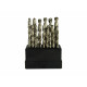 Punte, filiere e maschi Set di 25 pezzi di punte HSS argentate per metallo (1-13mm) | race-shop.it
