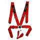 Cinture di sicurezza e accessori 5 punti cinture di sicurezza RACES 3" (76mm), rosso | race-shop.it