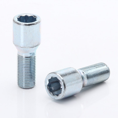Dadi, bulloni e prigionieri Set di viti a brugola +chiave, 20 pcs, M12x.75 | race-shop.it