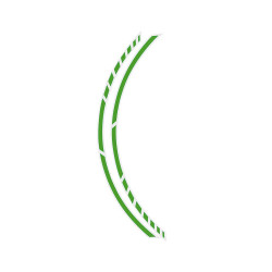 Foliatec strisce decorative per cerchi di moto, verde