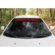 Adesivi per parabrezza RACES windscreen sticker | race-shop.it