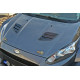 Body kit e accessori visivi BONNET VENTS RENAULT MEGANE MK3 RS | race-shop.it