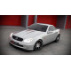 Body kit e accessori visivi MAXTON DESIGN splitter anteriore per MERCEDES SLK R170 | race-shop.it