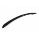 Body kit e accessori visivi SPOILER CAP MERCEDES CL-CLASS C215 | race-shop.it