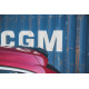 Body kit e accessori visivi Tappo Spoiler Citroen DS4 | race-shop.it