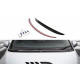 Body kit e accessori visivi Estensione del cofano Ford Fiesta Standard/ ST-Line/ ST | race-shop.it