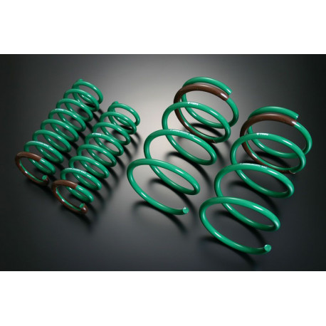 TEIN TEIN S.TECH molle per MITSUBISHI LANCER EVOLUTION IV CN9A | race-shop.it