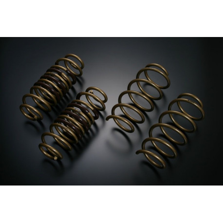 TEIN TEIN HIGH TECH molle per HONDA CR-Z ZF1 | race-shop.it