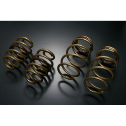 TEIN HIGH TECH Springs for NISSAN LEAF ZE0 X, G