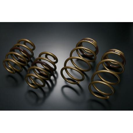 TEIN TEIN HIGH TECH molle per NISSAN LEAF AZE0 S, X, G | race-shop.it