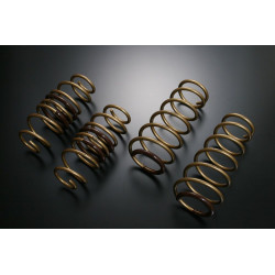 TEIN HIGH TECH molle per TOYOTA IQ KGJ10 100X, 100G