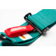 Cinture di sicurezza e accessori Cinture di sicurezza sportive a 5 punti RACES Motorsport 3" (76mm) (LIMITED EDITION), verde acqua | race-shop.it
