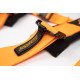 Cinture di sicurezza e accessori Cinture di sicurezza sportive a 5 punti RACES Motorsport 3" (76mm), arancione | race-shop.it