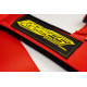 Cinture di sicurezza e accessori Cinture di sicurezza a 5 punti RACES Motorsport series, 3" (76mm), rosso | race-shop.it