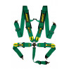 5 point safety belts RACES Motorsport series, 3" (76mm), green