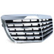 Body kit e accessori visivi Griglia del radiatore Avantgarde Ottica adatto per Mercedes E Class W211 Facelift 06-09 | race-shop.it